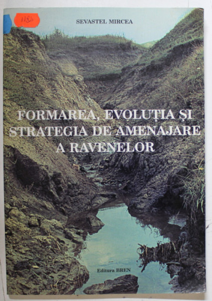 FORMAREA , EVOLUTIA SI STRATEGIA DE AMENAJARE A RAVENELOR de SEVASTEL MIRCEA , 2002