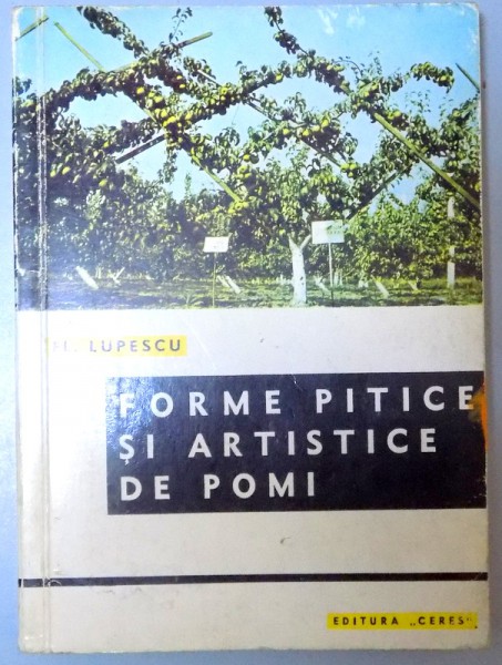 FORME PITICE SI ARTISTICE DE POMI , 1970