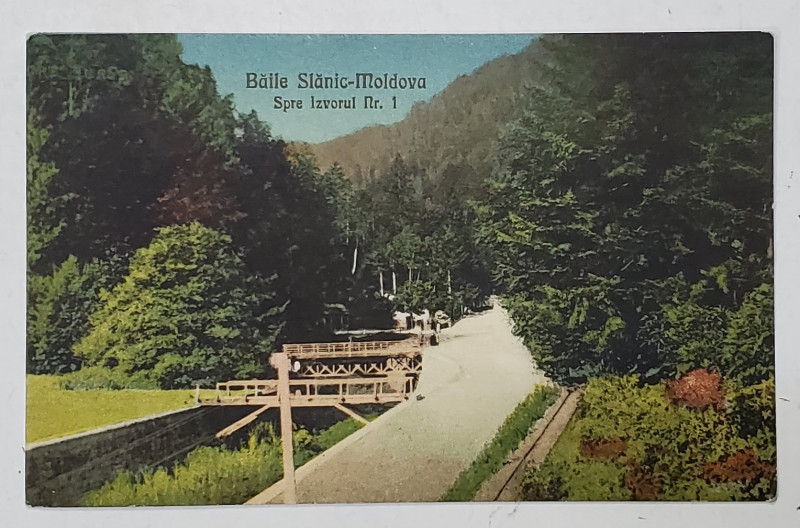 FOTO Z. WEISS , IASI , BAILE SLANIC - MOLDOVA , DRUM SPRE IZVORUL NR. 1 , CARTE POSTALA ILUSTRATA , INCEPUTUL SEC.XX