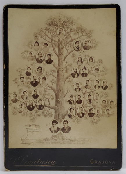 FOTOGRAF D. DEMETRESCU ., CRAIOVA , ARBORELE GENEALOGIC AL FAMILIEI ISAK si LUNA BENVENISTI DIN CRAIOVA , FOTOGRAFIE CABINET ,  CCA. 1900