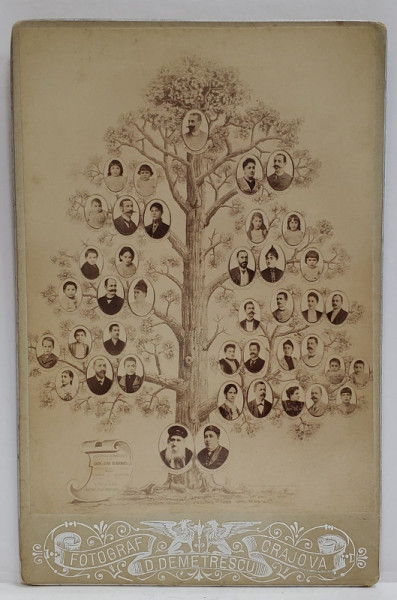 FOTOGRAF D. DEMETRESCU ., CRAIOVA , ARBORELE GENEALOGIC AL FAMILIEI ISAK si LUNA BENVENISTI DIN CRAIOVA , FOTOGRAFIE CABINET ,  CCA. 1900, PARTEA INFERIOARA CU LITERE SI ORNAMENTE ARGINTII