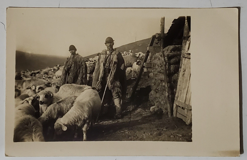 FOTOGRAF J. FISCHER , SIBIU , CIOBANI ROMANI DIN ZONA PARANGULUI , CARTE POSTALA ILUSTRATA