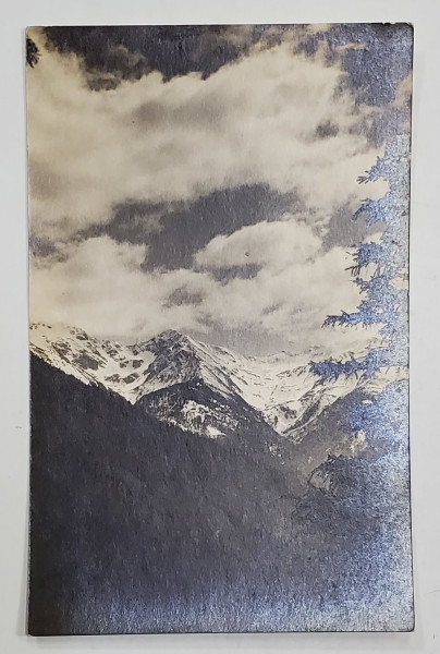 FOTOGRAF J. FISCHER , SIBIU , VALEA NEGOIULUI , CARTE POSTALA ILUSTRATA , INTERBELICA