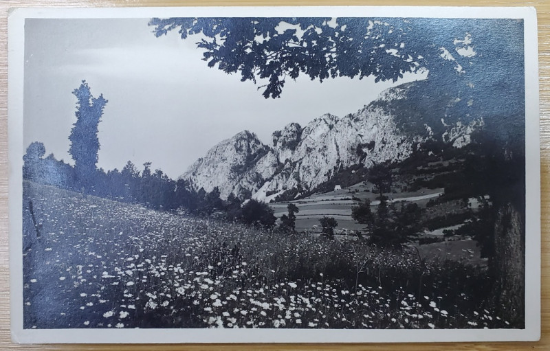 FOTOGRAF J. FISCHER , SIBIU , VEDERE DIN MUNTII APUSENI , CARTE POSTALA , 1938