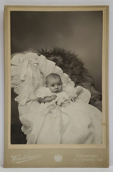 FOTOGRAF WANDELMANN , BUCURESTI , COPILAS IN STUDIO , FOTOGRAFIE CABINET , CCA. 1900