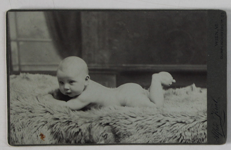 FOTOGRAFIE C.D.V. , STUDIO ALFRED KRAL , VIENA , BEBELUS PE BLANITA , IN STUDIO , CCA. 1900