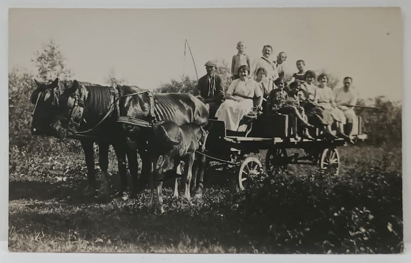 FOTOGRAFIE DE GRUP IN CARUTA TRASA DE DOI CAI SI MANZ , FEMEI SI BARBATI IN PORT ORASENESC , PERIOADA INTERBELICA , CARTE POSTALA  INTERBELICA
