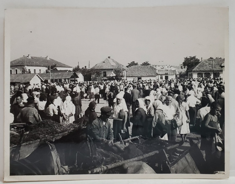FOTOGRAFIE DE GRUP LA TARG , FOTO WEISS , INTERBELICA