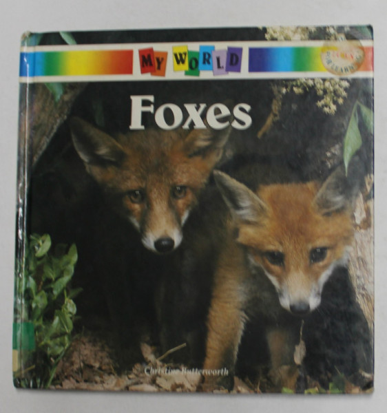 FOXES by CHRISTINE BUTTERWORTH and DONNA BAILEJ , 1990