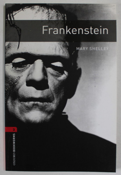 FRANKENSTEIN by MARY SHELLEY , retold by PATRICK NOBES , 2008