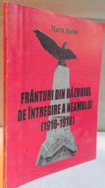 FRANTURI DIN RAZBOIUL DE INTREGIRE A NEAMULUI 1916-1918