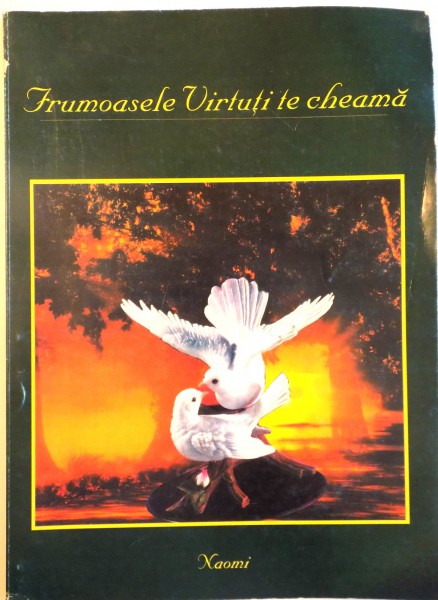 FRUMOASELE VIRTUTI TE CHEAMA de NAOMI, 1999