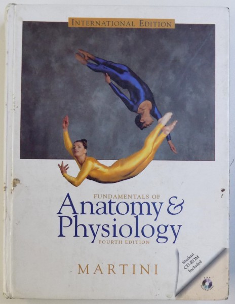 FUNDAMENTALS OF ANATOMY & PHYSILOGY  - FOURTH EDITION by FREDERIC H. MARTINI , 1989