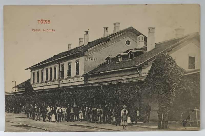 GARA DIN TEIUS , CARTE POSTALA ILUSTRATA , INCEPUTUL SEC. XX