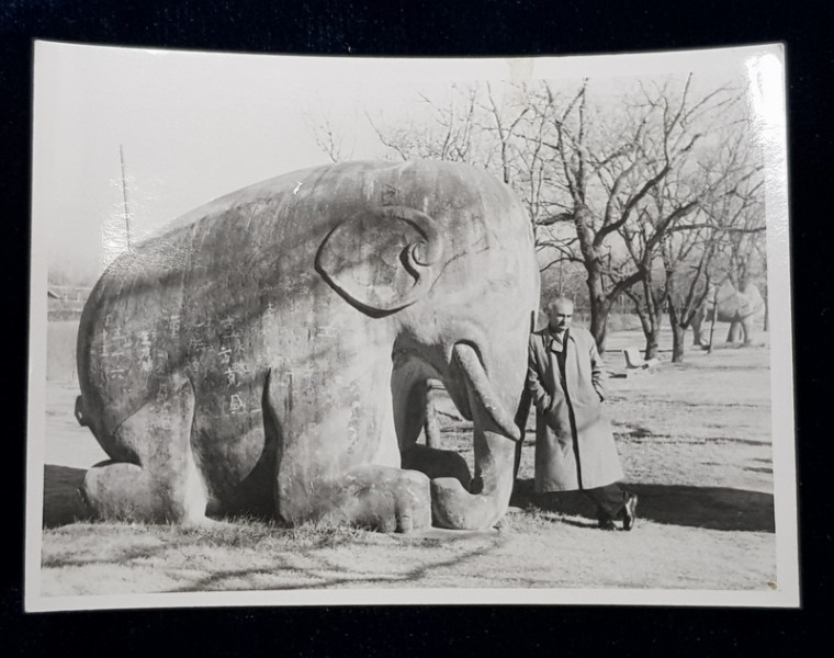 GEO BOGZA IN VIZITA LA NANKIN  - CHINA , FOTOGRAFIE , MONOCROMA , NEDATATA