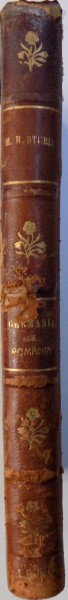 GERMANIA IN ROMANIA , ERI - AZI  -MAINE - COMERT, INDUSTRIE, FINANTA, COLONIA GERMANA , REGELE , PROPAGANDA , CORUPTIA , SPIONAJUL de MARCEL BIBIRI - STURIA , 1916