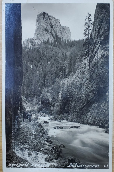 GHEORGHIENI , DEFILEU PRINTRE STANCI , FOTOGRAFIE TIP CARTE POSTALA , INTERBELICA