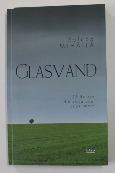 GLASVAND - 35 DE ORE DIN VIATA UNUI COPIL MARE de RALUCA MIHAILA , 2019 , DEDICATIE *
