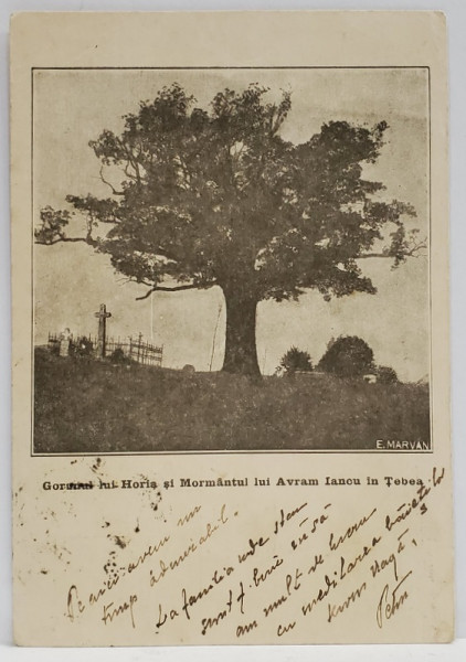 GORUNUL LUI HOREA SI MORMANTUL LUI AVRAM IANCU . FOTO . E MARVAN , CARTE POSTALA , 1924