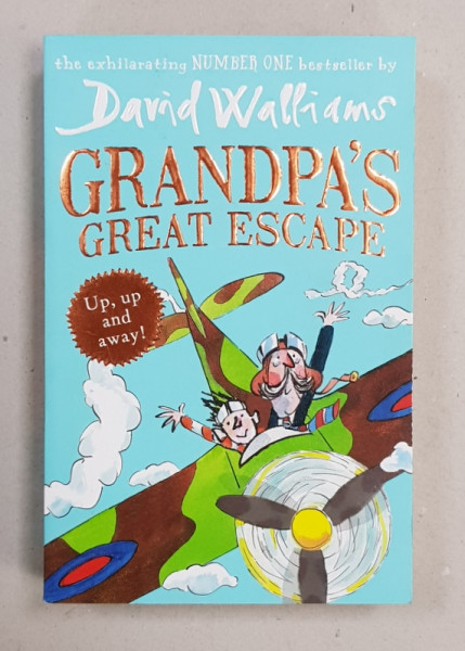 GRANDPA 'S GREAT ESCAPE by DAVID WALLIAMS , illustrated by TONY ROSS , 2015