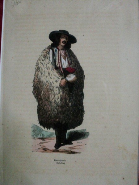 GRAVURA COLORATA-CIOBAN 1850