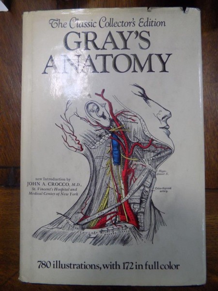 GRAY 'S ANATOMY . ANATOMY DESCRIPTIVE AND SURGICAL by HENRY GRAY