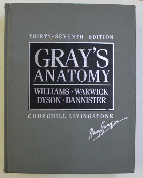 GRAY ' S ANATOMY by WILLIAMS ...BANNISTER , THIRTY - SEVENTH EDITION , 1989