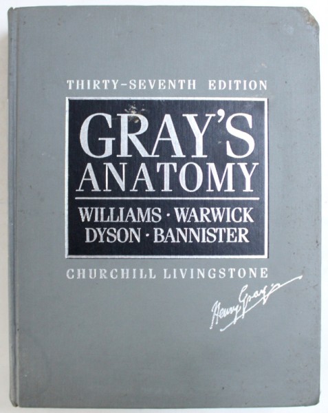 GRAY'S ANATOM, THIRTY-SEVENTH EDITION by PETER L. WILLIAMS ... LAWRENCE H. BANNISTER , 1989