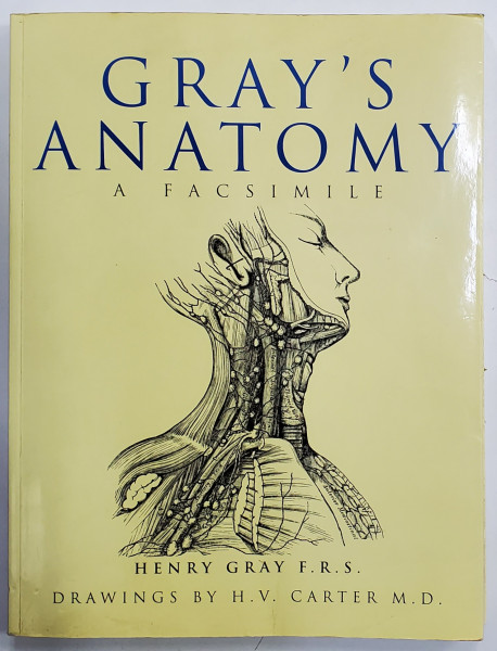 GRAY'S  ANATOMY , A FACSIMILE by HENRY GRAY , drawings by H.V. CARTER , 2001