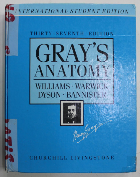 GRAY'S ANATOMY by WILLIAMS ...BANNISTER , 1989