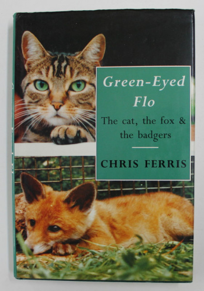GREEN - EYED FLO - THE CAT , THE FOX and THE BADGERS by CHRIS FERRIS , 1992