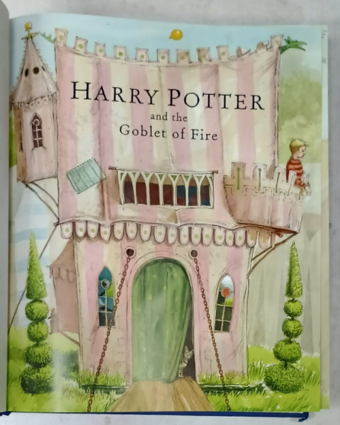 HARRY POTTER AND THE GOBLET OF FIRE by J.K. ROWLING , illustrated by JIM  KAY , 2019