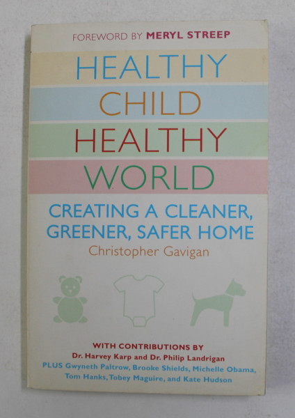 HEALTHY CHILD HEALTHY WORLD by CHRISTOPHER GAVIGAN , 2008
