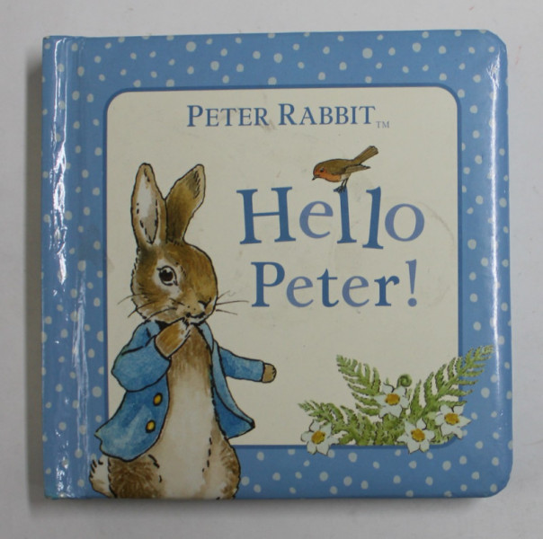 HELLO PETER ! - SERIES '' PETER RABBIT '' 2003