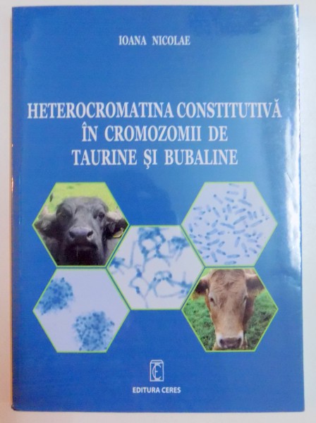 HETEROCROMATINA CONSTITUTIVA IN CROMOZOMII DE TAURINE SI BUBALINE de IOANA NICOLAE , 2007