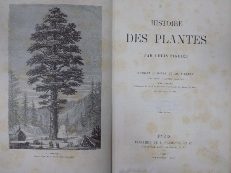 Histoire des plantes, Louis Figuier, Paris 1865