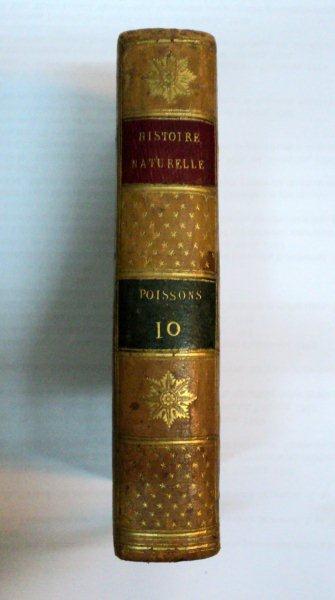 HISTOIRE NATURELLE  DES POISSONS -   TOM X   - PARIS 1799 