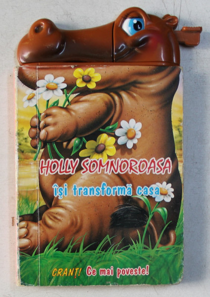HOLLY SOMNOROASA ISI TRANSFORMA CASA , 1999