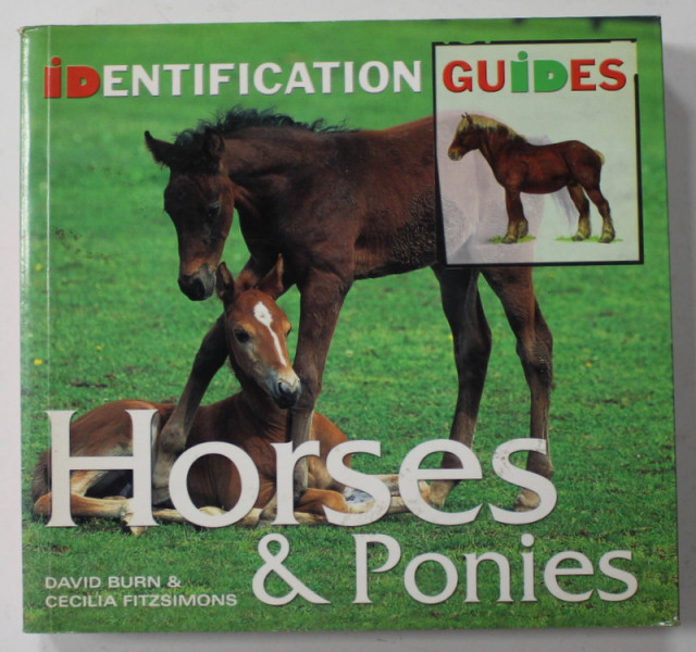 HORSES and PONIES , IDENTIFICATIONS GUIDES by DAVID BURN and CECILIA FITZSIMONS , 2008