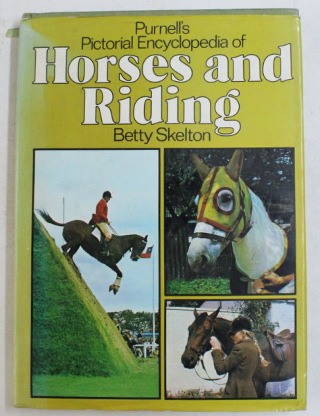 HORSES AND RIDING by BETTY SKELTON , 1980