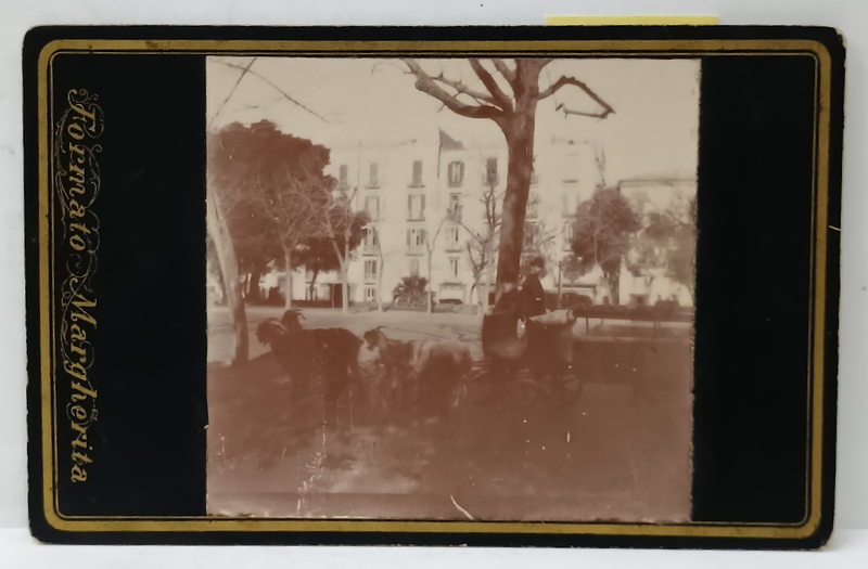 HOTEL IN STATIUNE , FOTOGRAFIE  ' FORMATO MARGHERITA  ' , SFARSITUL SEC. XIX