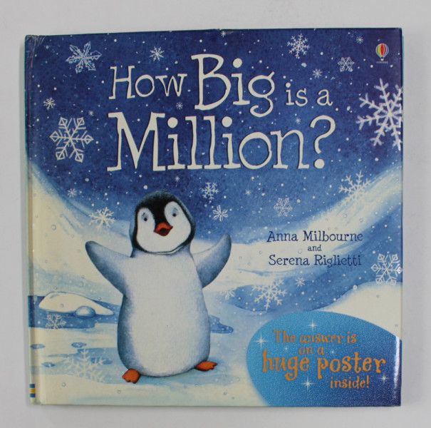 HOW BIG IS A MILLION ? by ANNA MILBOURNE / SERENA RIGLIETTI , 2008