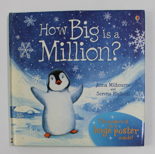 HOW BIG IS A MILLION ? by ANNA MILBOURNE / SERENA RIGLIETTI , 2008