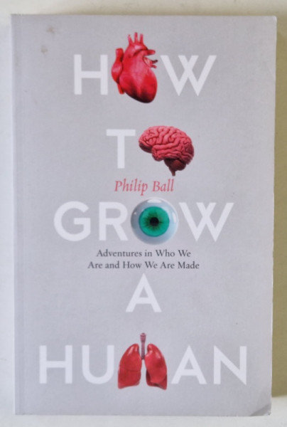 HOW TO GROW A HUMAN by PHILIP BALL , ADVENTURES IN WHO WE ARE AND HOW WE ARE MADE , 2019