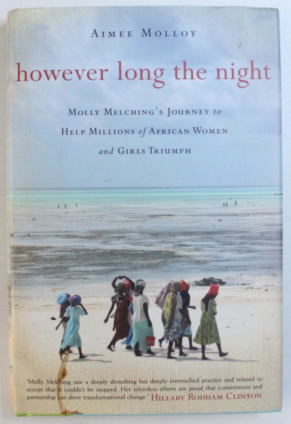 HOWEVER LONG THE NIGHT by AIMEE MOLLY , 2013