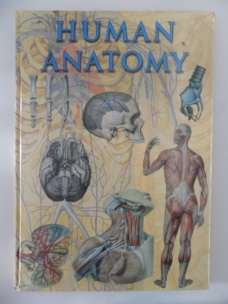 HUMAN ANATOMY , 2007