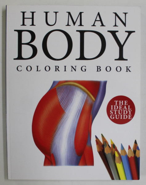 HUMAN BODY,  COLORING BOOK , 2015