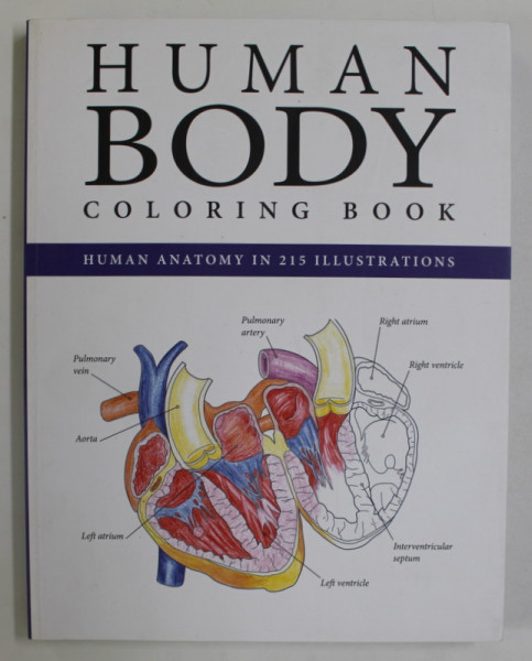 HUMAN  BODY , COLORING BOOK , HUMAN ANATOMY IN 215 ILLUSTRATIONS , 2015