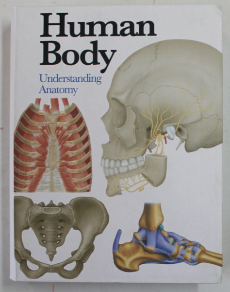 HUMAN BODY - UNDERSTANDING ANATOMY , general editor JANE DE BURGH , 2016