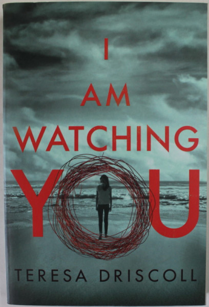 I  AM WATCHING YOU by TERESA DRISCOLL , 2017